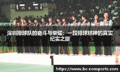 深圳排球队的奋斗与荣耀：一段排球精神的真实纪实之旅